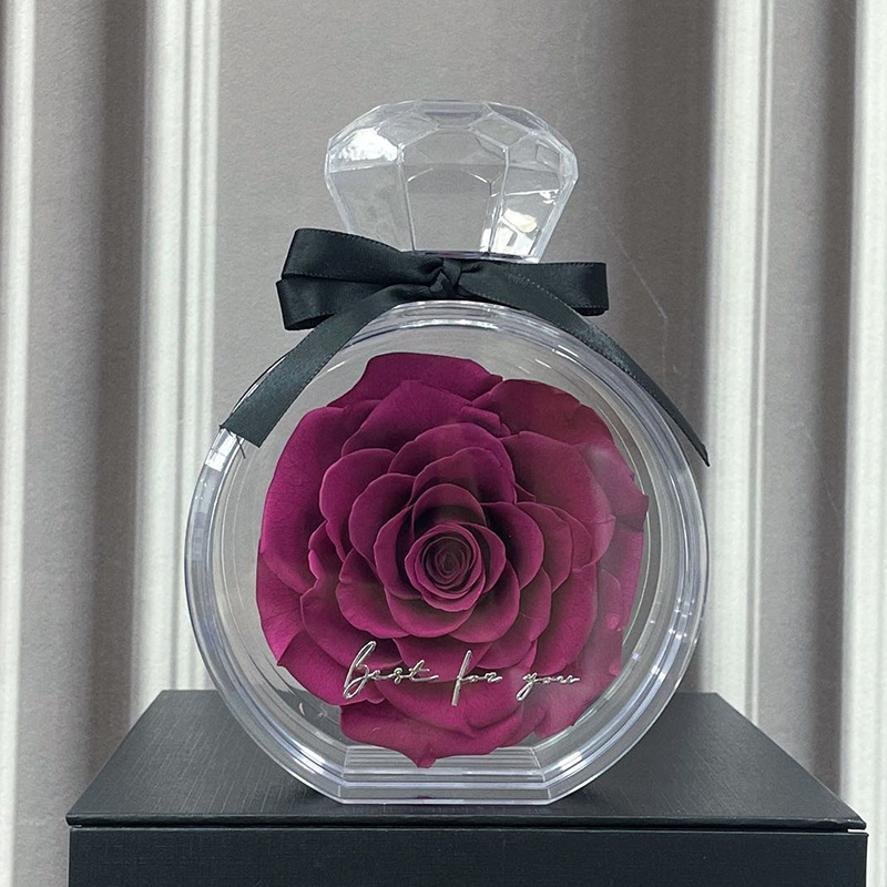 Natural Eternal Flower Ornament – Preserved Rose Gift Box with Transparent Cover for Home Décor - Image 6