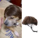 Brown Short Hair