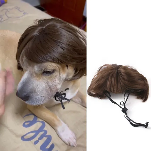 Halloween Christmas Wig Pet Hair Accessories Brown Short Hair - Shop at LoveMi