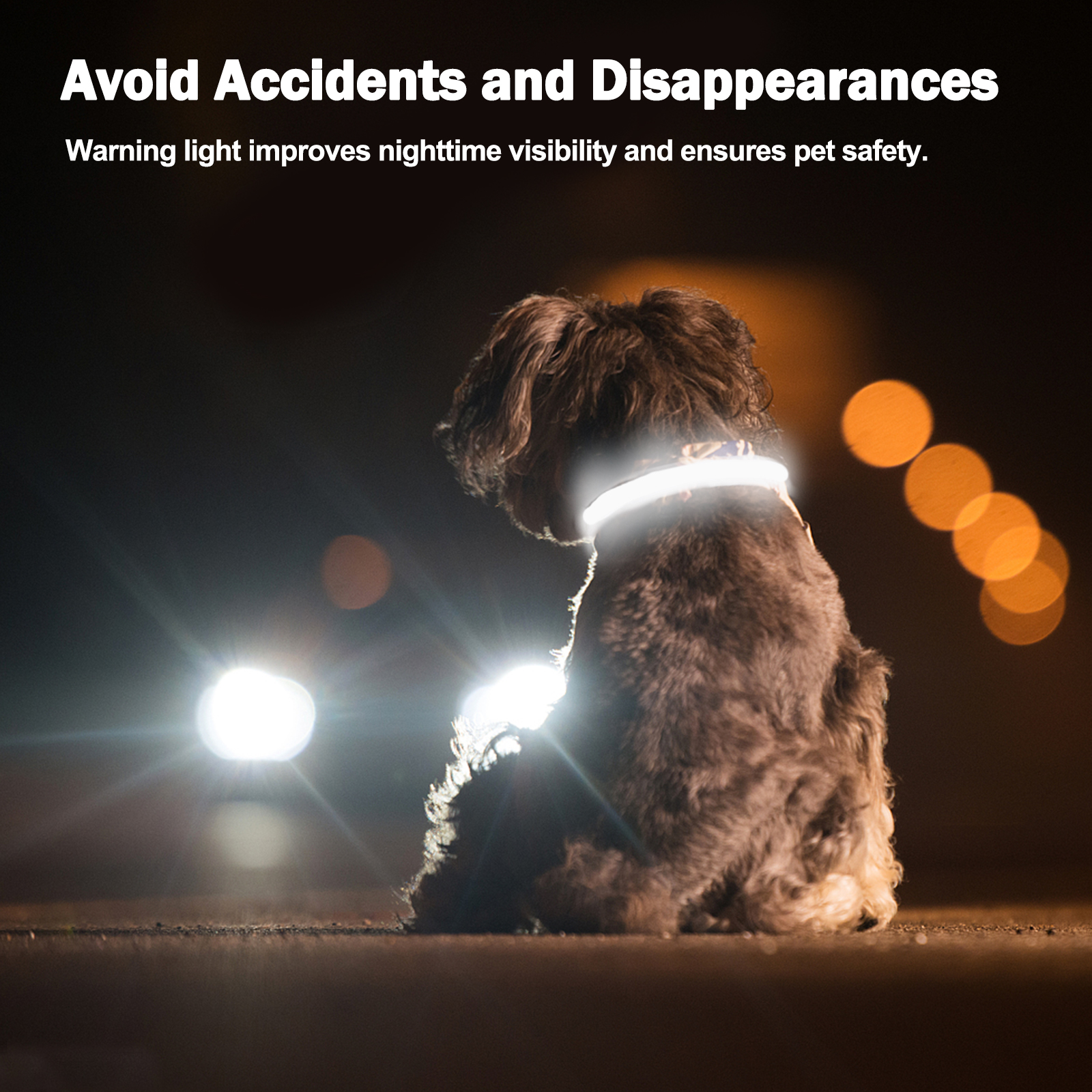 Light Up Dog Collar - Lights For The Dark Night, Adjustable Flashing — image 10