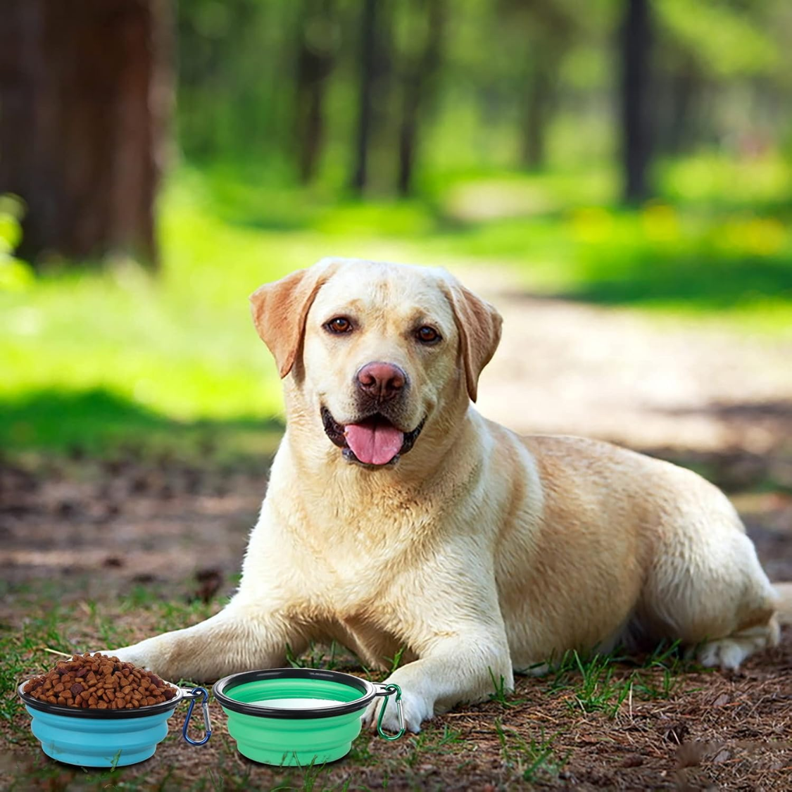 Bol pliable avec couvercles, paquet de 2 bols de voyage pour chien – Image 3