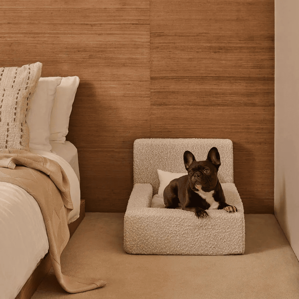 Dog Mat, Movable Rectangular Sponge Cat Bed Backrest, Pet Sofa, Suitable For Small, Medium And Large Cats And Dogs, Mat Bed, Dog Pet Accessories, Bedding thumbnail 8