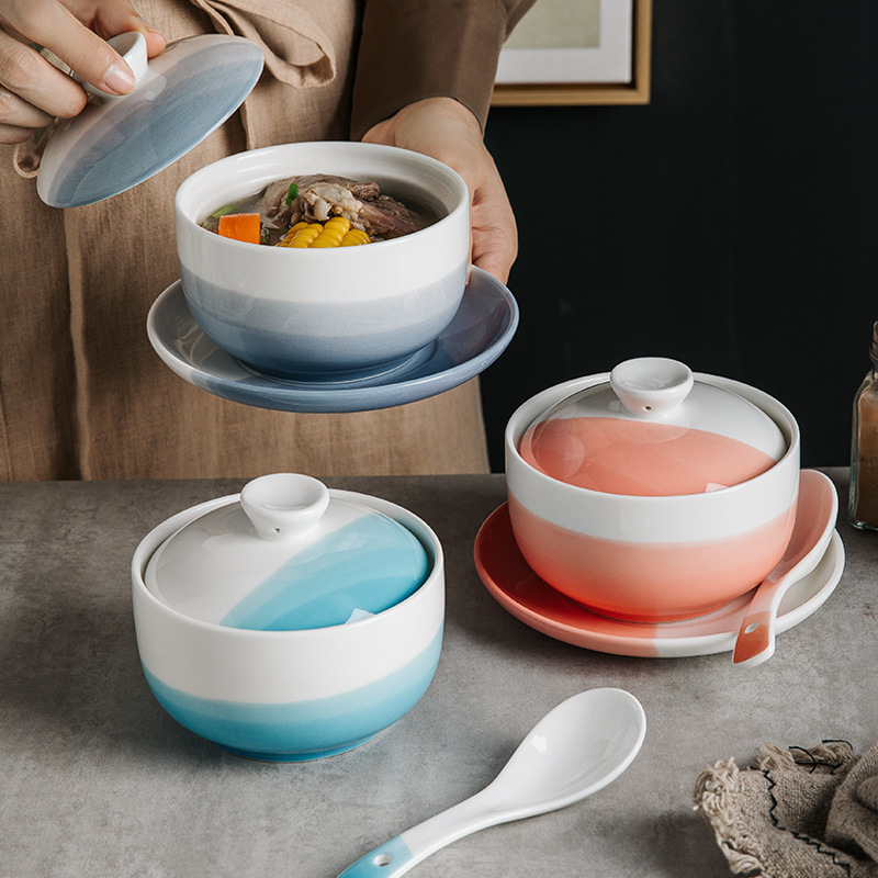 وعاء حساء سيراميكي مقاوم للماء مع غطاء تصميم مبدع