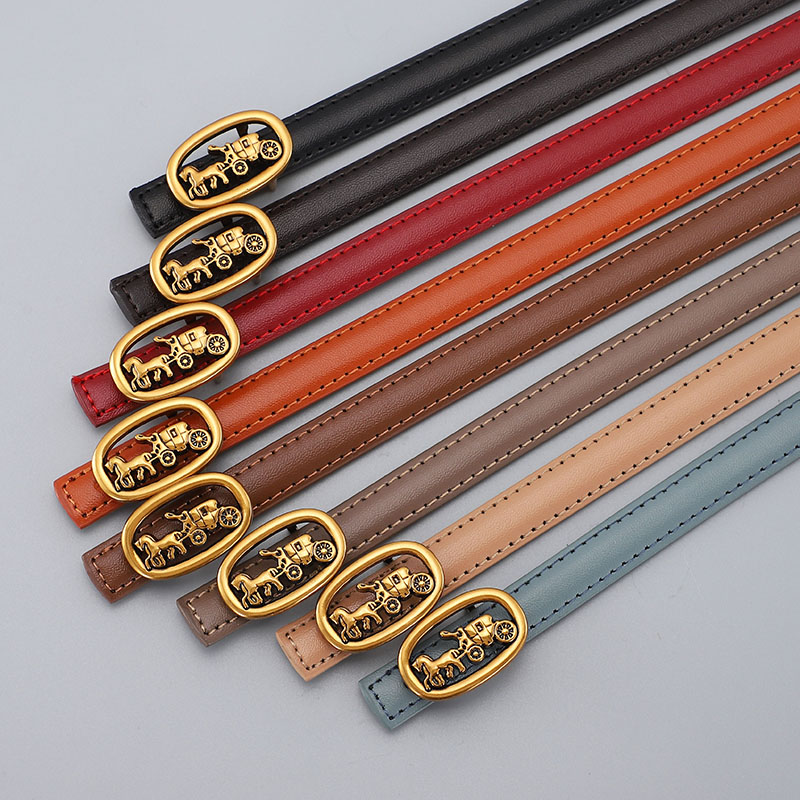 Fashionable And Versatile Vintage Belt Ins
