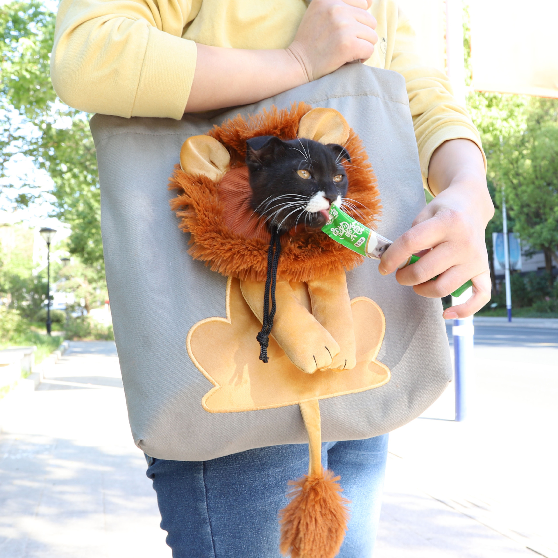 Title 2, Soft Pet Carrier Lion Design Portable Breathabl...