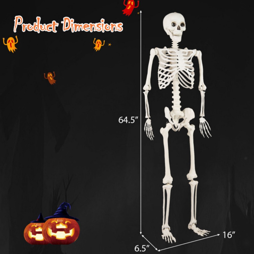 5.4 FT Halloween Skeleton Decoration Life Size Large Skeleton 6