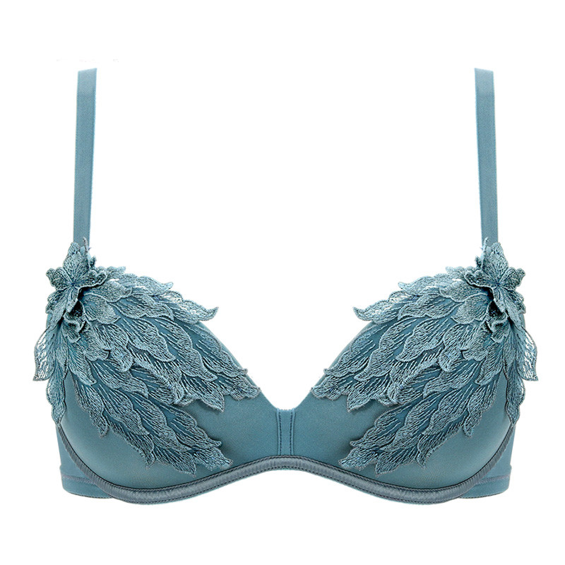 Title 7, Embroidered small chest gather bra