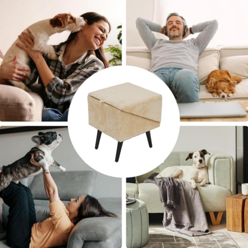 2 In 1 Folding Pet Ramp With Foot Support For Dogs & Cats