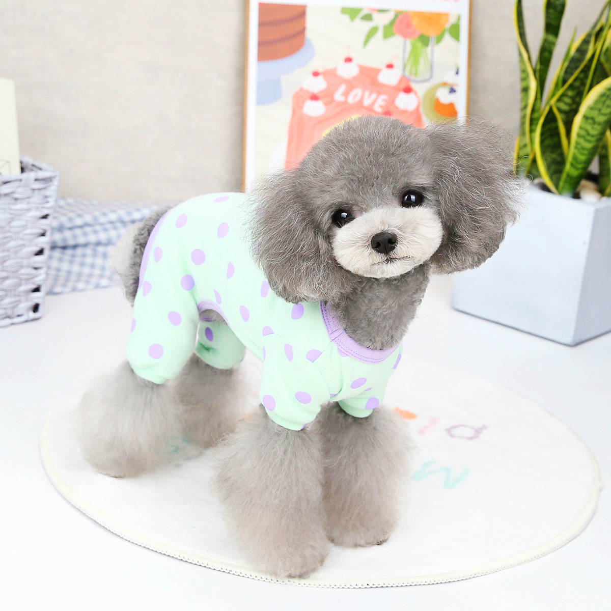 Pet Clothing Spring And Summer Puppy Clothes