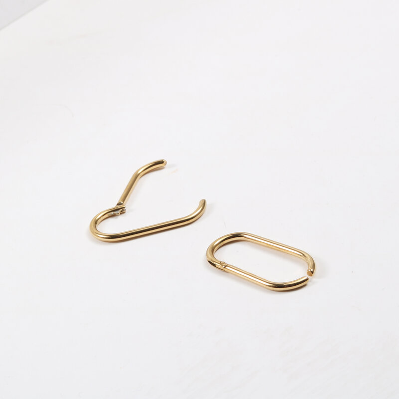 Small And Fashionable Oval Earrings
