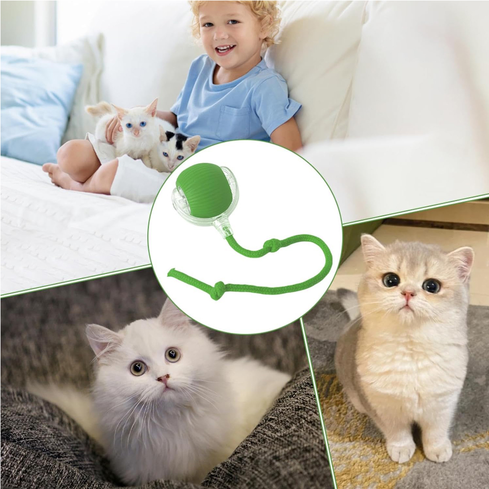 Interactive Rolling Cat Ball