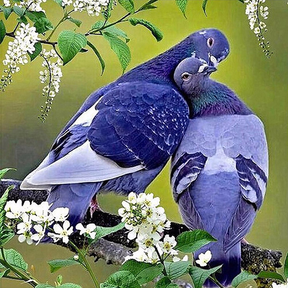 Kissing Bird 5d Diy Diamond Painting Cross Stitch Resin Diamond Inlaid Needlework