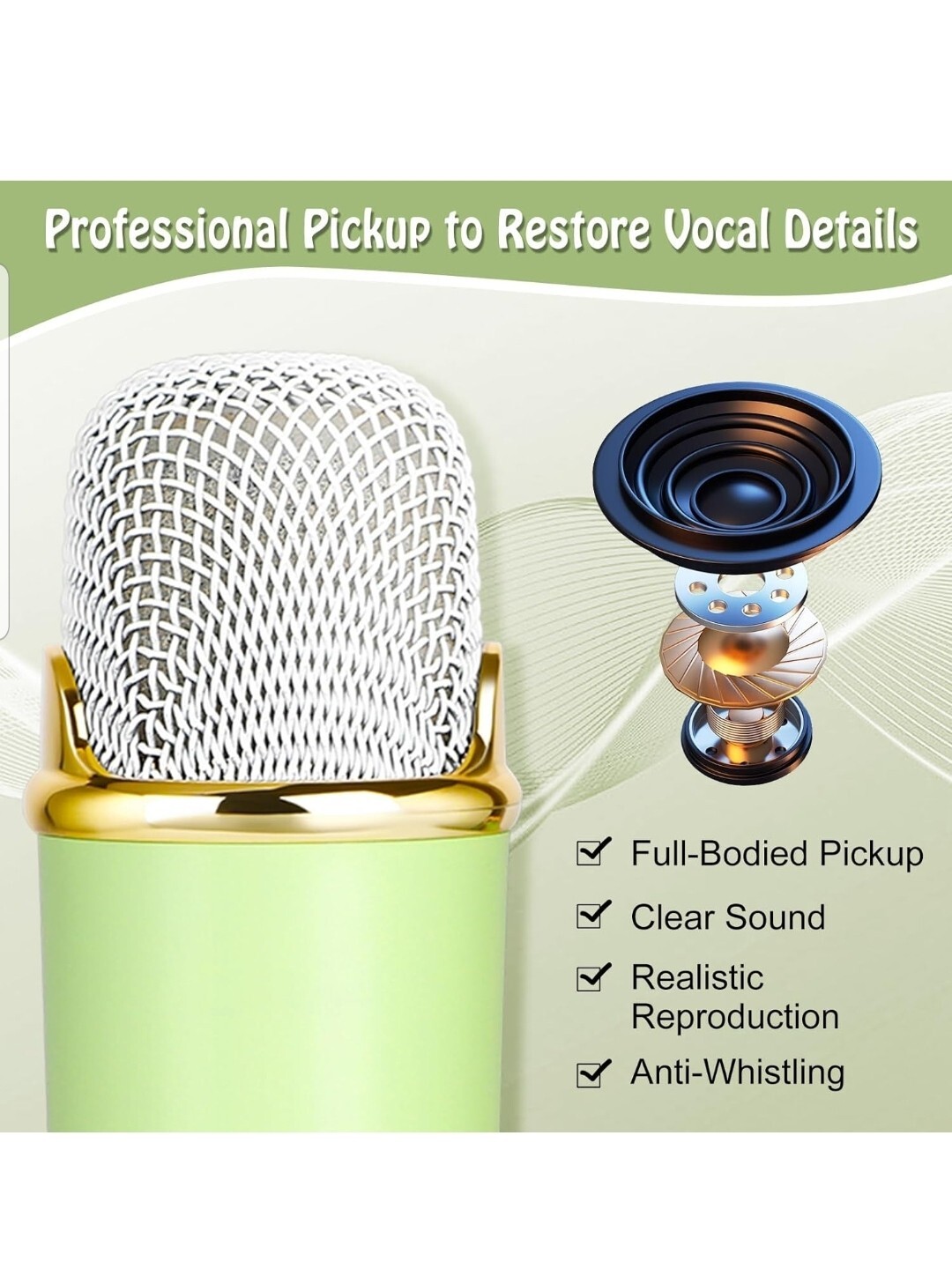 Kids Karaoke Machine, Karaoke Toys For Kids & Adults With 2 Microphones Green