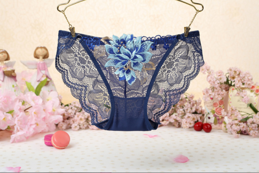 Title 18, Sexy Lace Low Waist Cute Embroidered Ladies Pan...