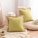 Avocado Green