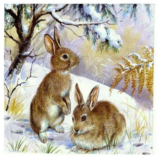 5D Diamond And Rabbit Digital Resin Rhinestone Painting Kit G - Shop at LoveMi