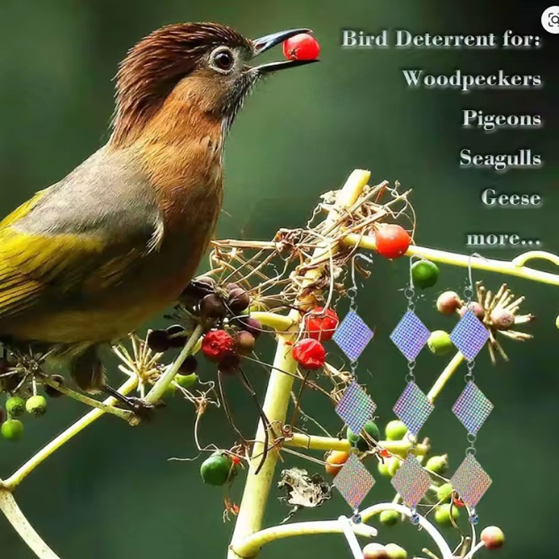 24pcs Reflective Discs,Bird Repellent Goods, Pigeon Repellent, Crow Protection, Swallow Repellent, High Intensity Double-Sided Reflective, 360 Rotation, Thicken Material