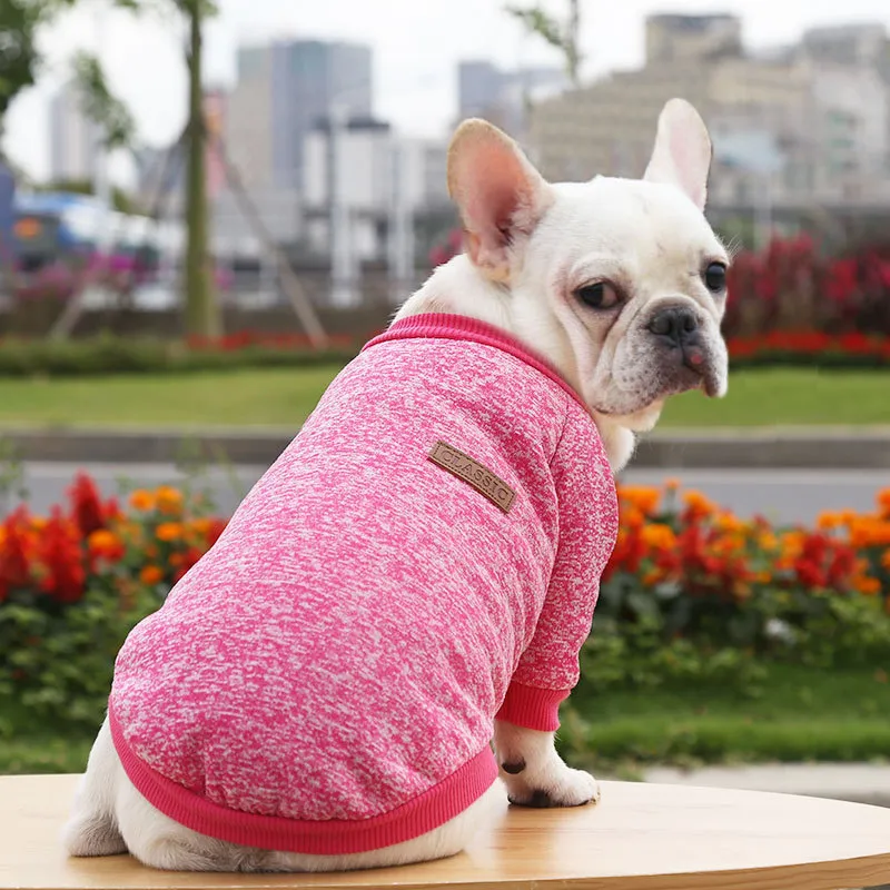 Fall Winter New Style Sweater Two-legged Clothes Dog Supplies - Rose Red
