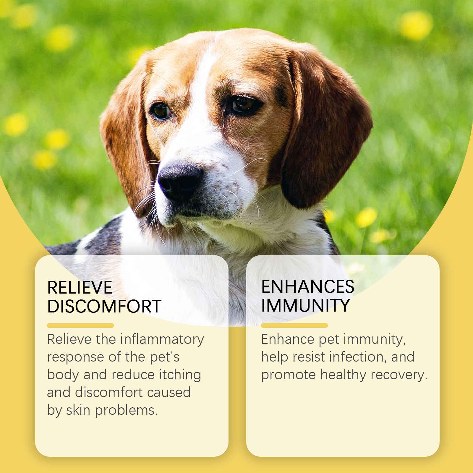 Herbal Yeast Supplements For Relieving External Skin Care Of Pets
