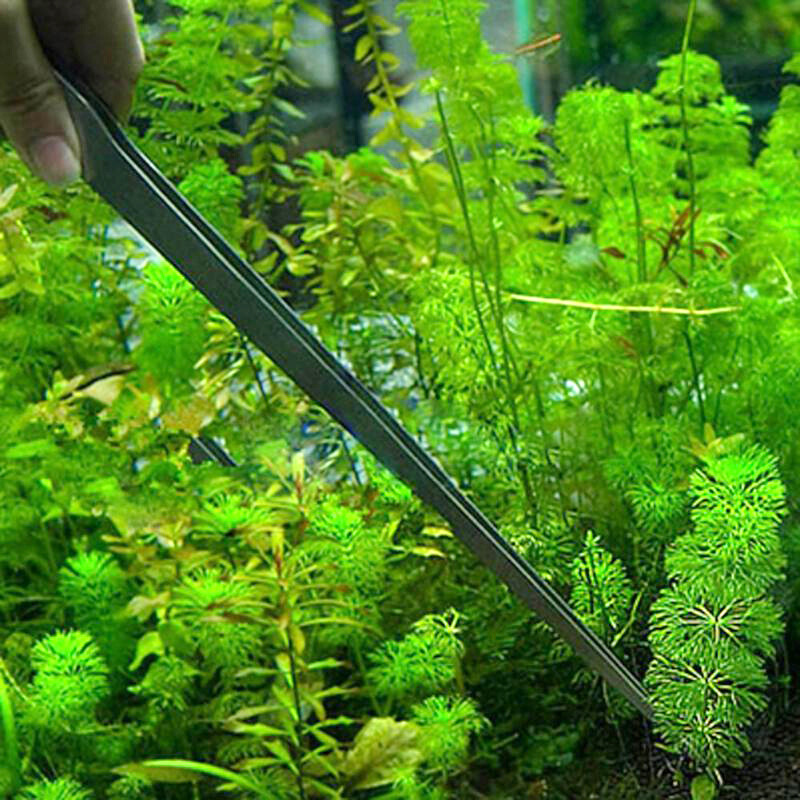 27CM Stainless Steel Aquatic WaterPlant Aquarium Tweezer