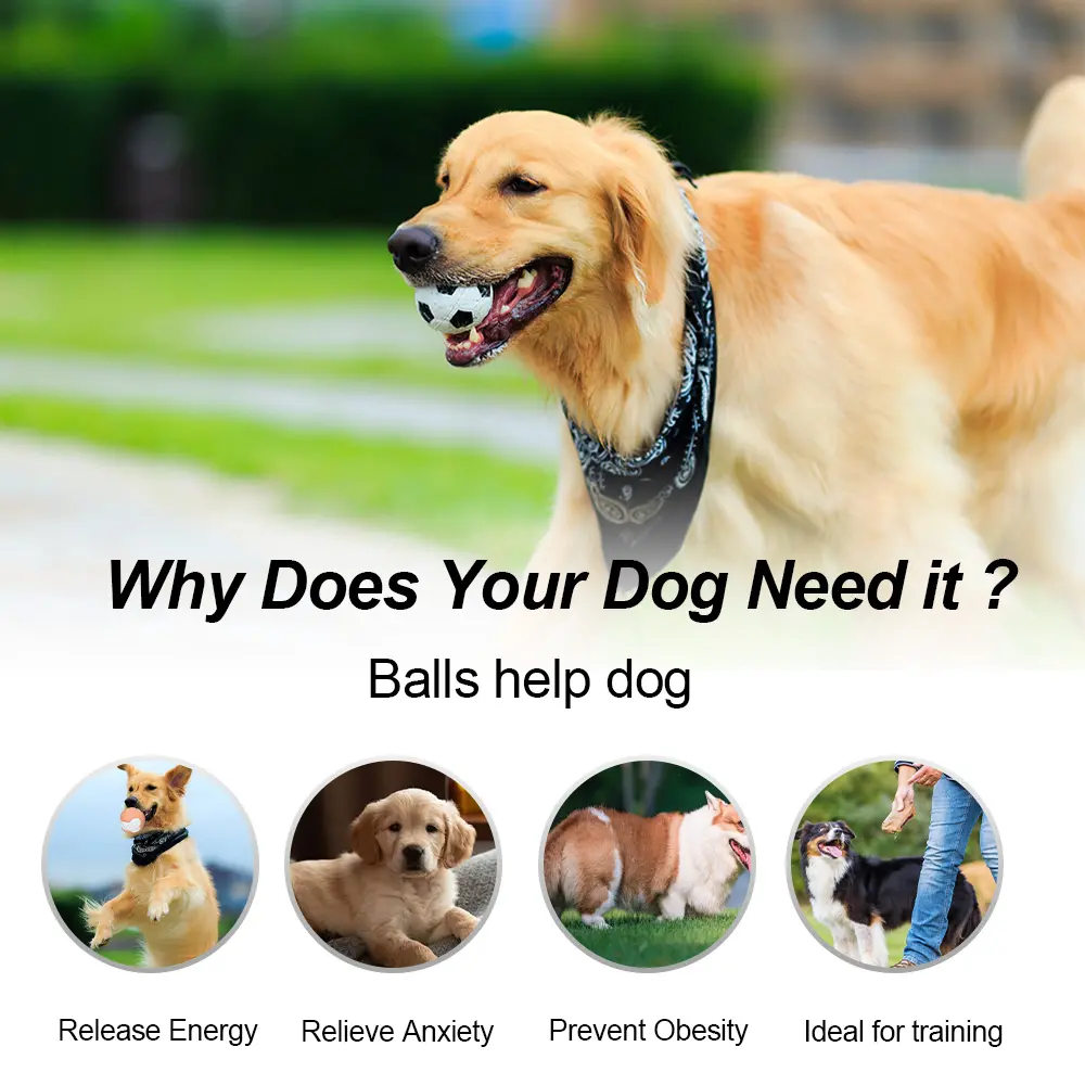 Non-Toxic Dog Toy Ball Hard Rubber Solid