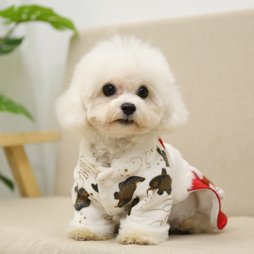 Title 3, Cat New Years Clothing Clothes Dog Skirt Celeb...