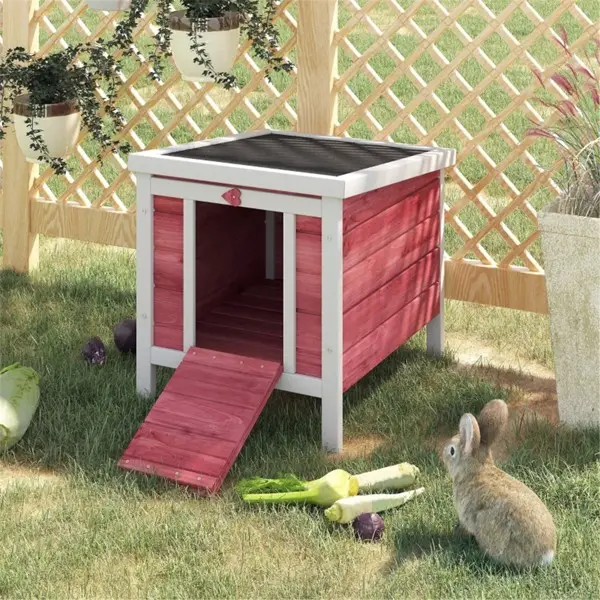 Dog House, Pet Rabbit Duck Amazon Shipping