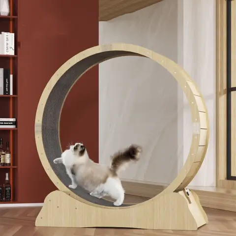Cat Specific Treadmill Fitness Roller Silent Sports Running Wheel
