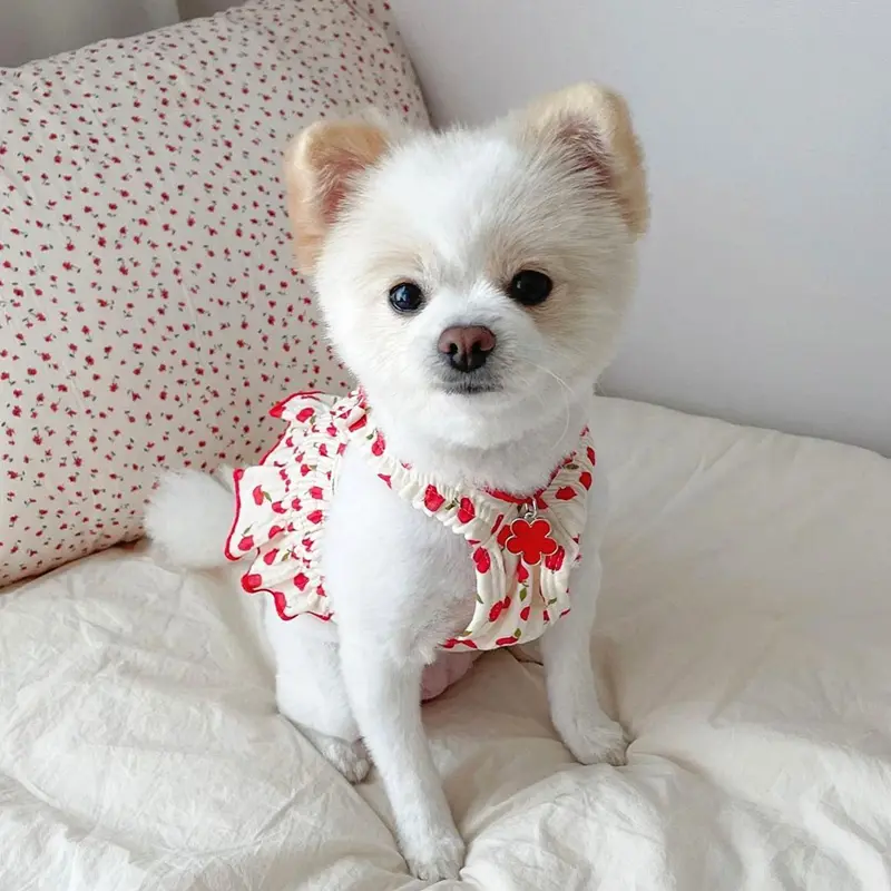 Teddy Skirt Puppy Dog Summer Thin Clothes