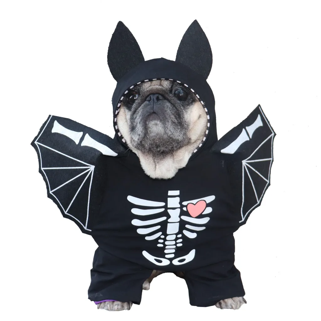 Pet Clothes Black Bat Dog - Black Bat Standing Outfit