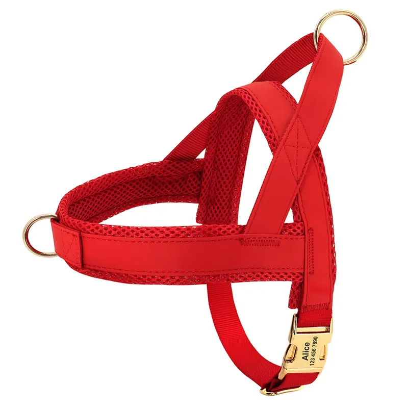 Lettering Large Dog Vest Chest Harness - Red
