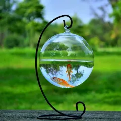 Hanging Glass Vase Fish Tank - Glass Ball23 Black Bracket - View 1