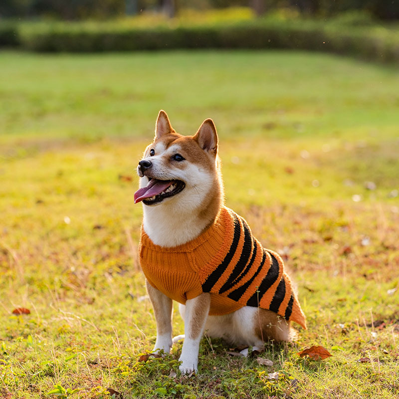 Title 6, Maglione di Halloween per cani Costume per anim...