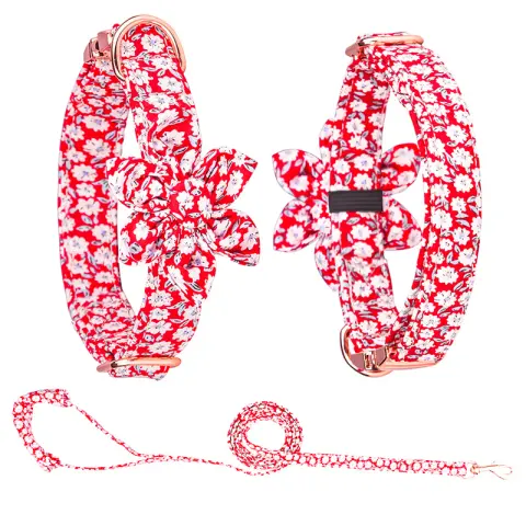 Custom Pet Collar and Leash Set
