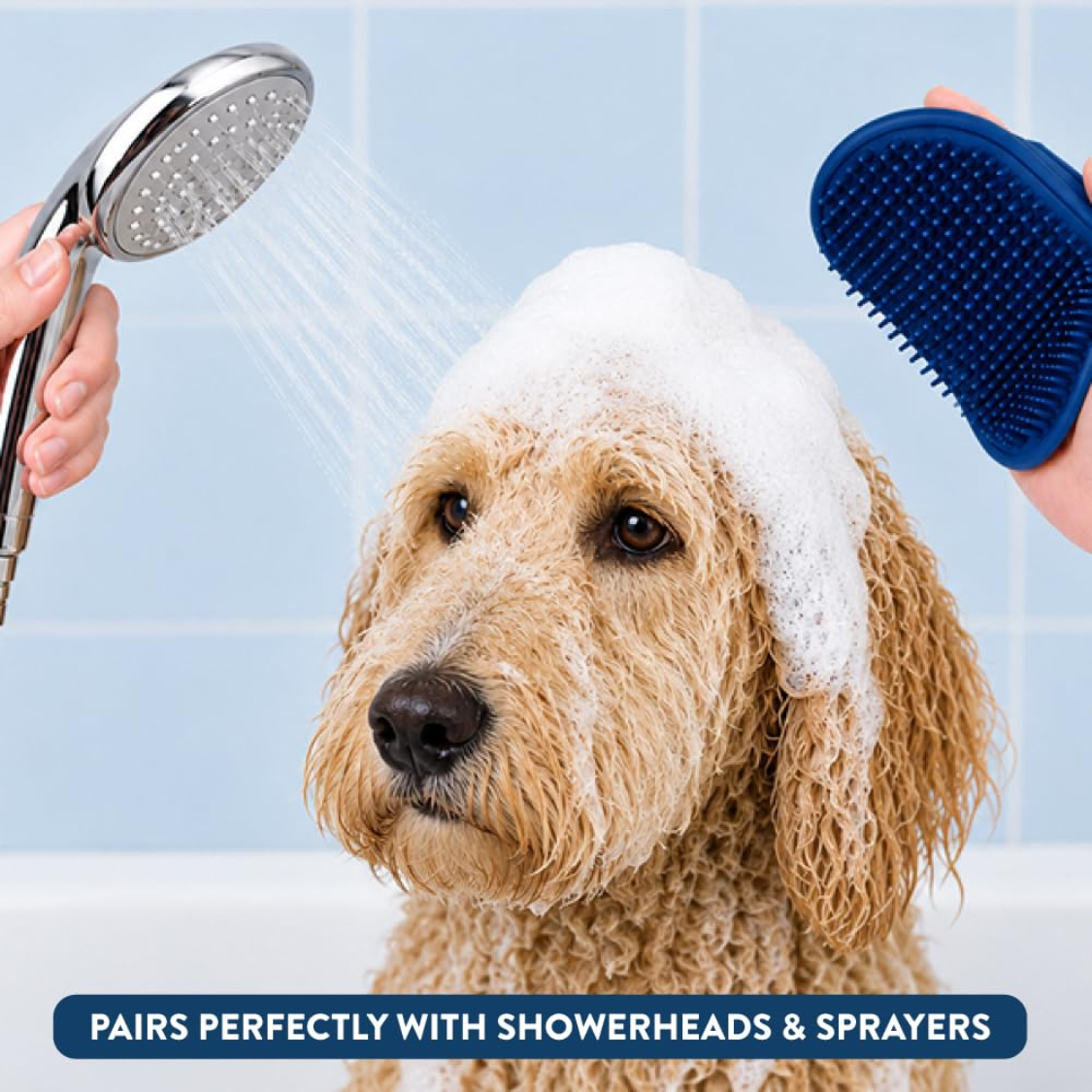 Brosse de bain pour chien et chat, shampoing et massage