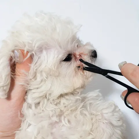 Pet-friendly Eye Grooming Brush Soft Tear Stain Remover