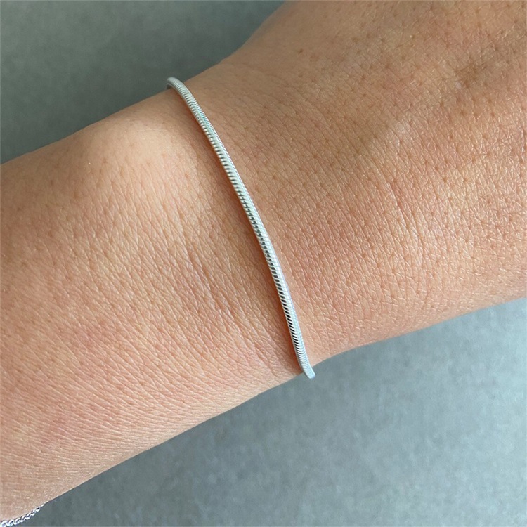 Title 10, Korean Simple Fashion Snake Bone Bracelet