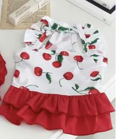 New Puppy Cute Cherry Swimsuit Dress - Red Clothes - View 1