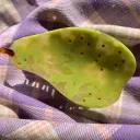 Fragrant Pear