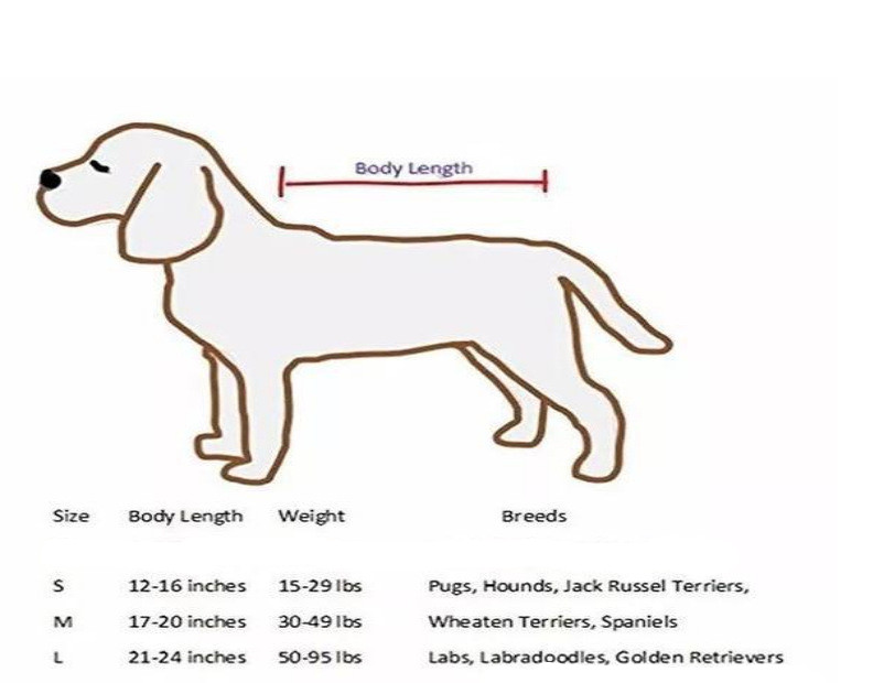 Title 1, Hunde Trockner Zubehör Trocknungs-Kit mit Fön K...