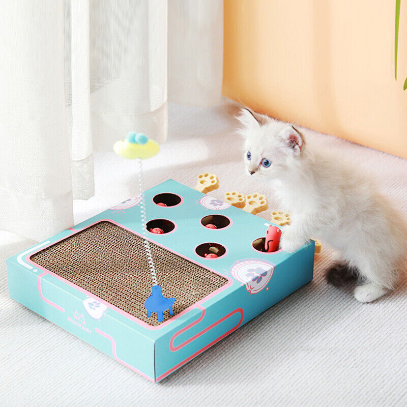 Cat Toy Whack-a-Mole Cat Scratching Board Toy Grinding Claw Rest Play Funny Cat