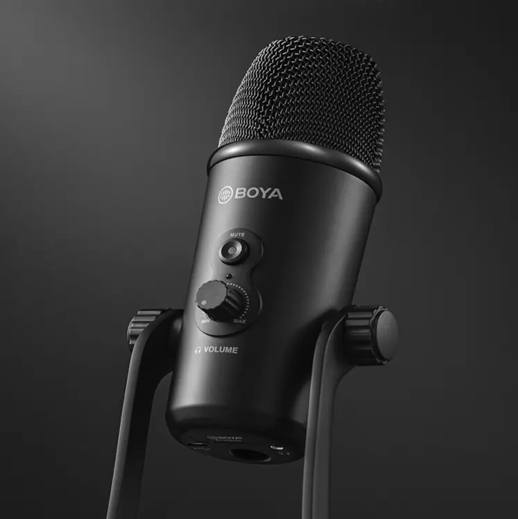 Condenser Microphone Eat Broadcast Recording Built-in Sound