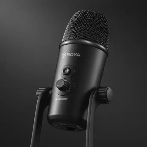 Condenser Microphone Eat Broadcast Recording Built-in Sound Card