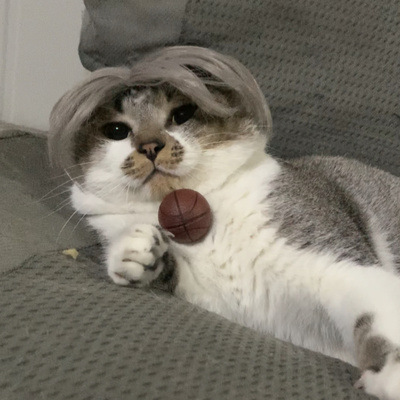 Pet Cat Wig Headgear Is Funny - Image 3