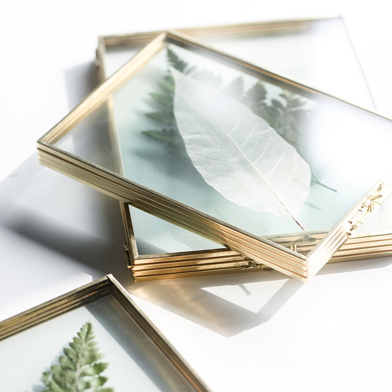 Plant Specimen Frame Metal Glass Photo Frame (Copper 5inch)