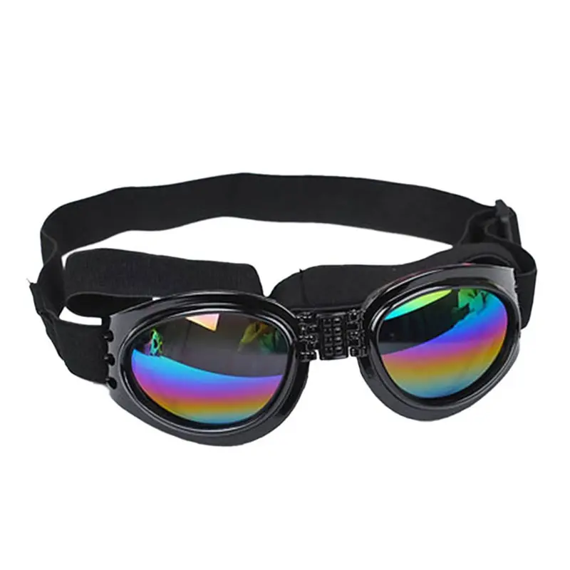Pet Dog, Cat, Sunglasses, Glasses, Sun Big