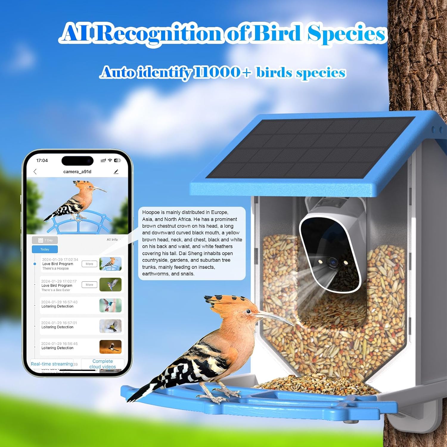 Smart Bird Feeder With Camera Solar Powered WiFi 4MP Live Camera AI Identify Bird Species Auto Capture Garden Bird Watching Motion Detection Ideal Gift For Bird Lovers Blue