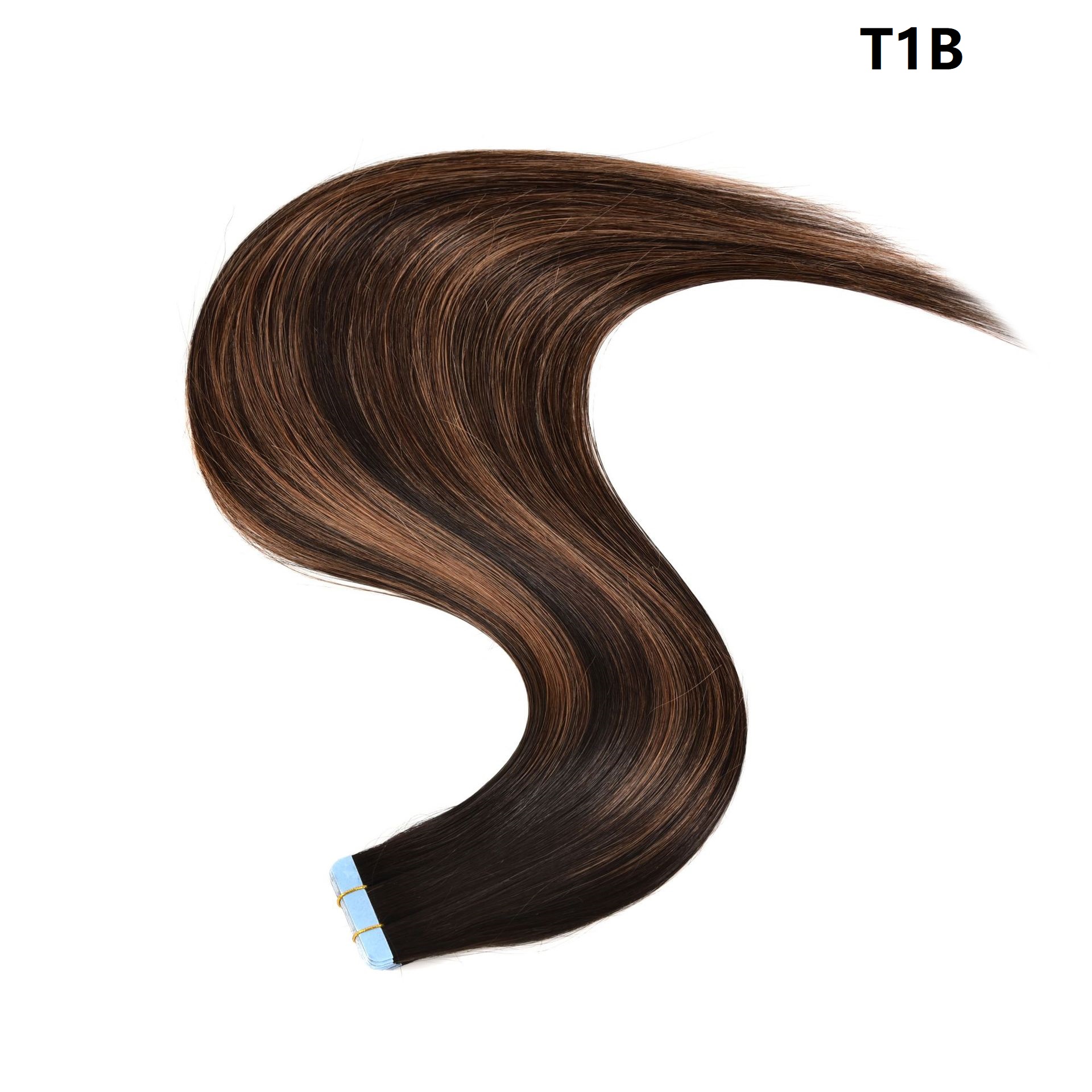 T1B