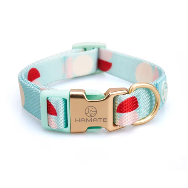 Fashion Y shaped Chest Strap Pet Supplies Dog Leash Red Blue Collar - Shop at LoveMi