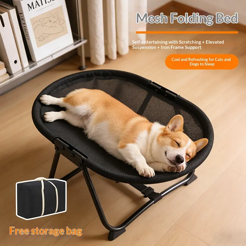Cat Bed Summer Camp